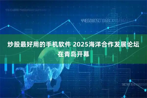 炒股最好用的手机软件 2025海洋合作发展论坛在青岛开幕