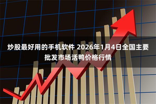 炒股最好用的手机软件 2026年1月4日全国主要批发市场活鸭价格行情
